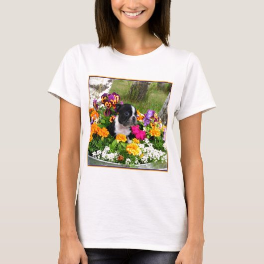T-shirt Boston Terrier (Devant)
