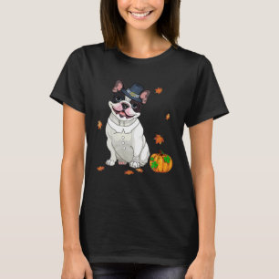 T-shirt Boston Terrier Thanksgiving Costume Pilgrim Turqui
