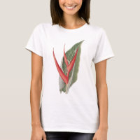 T-shirt botanique Vintage des années 1800