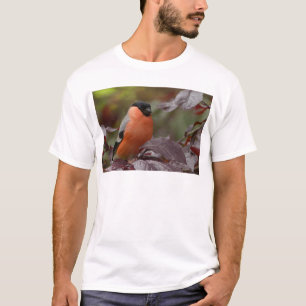 T-shirt Bouvreuil pivoine