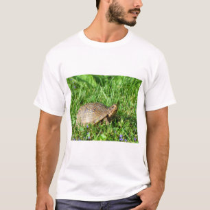 T-shirt Box Turtle