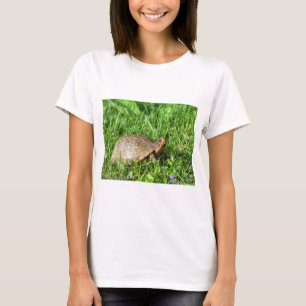 T-shirt Box Turtle