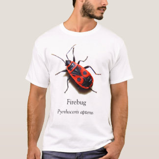 T-shirt BOYB Firebug