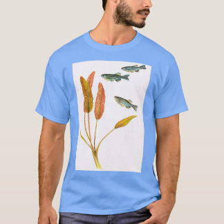 T-shirt Brachydanio rerio