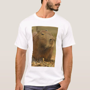 T-shirt Brésil, Pantanal, Matto Grosso. Capybara