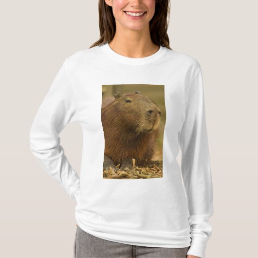 T-shirt Brésil, Pantanal, Matto Grosso. Capybara (Devant)