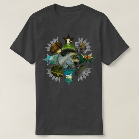 T-shirt Bridgewater Triangle (Design devant)