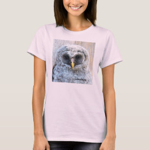 T-shirt Brindille - jeune hibou barré