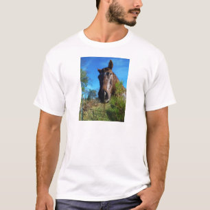 T-shirt Brown et crème Couleur Cheval bleu ciel