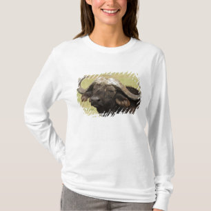 T-shirt Buffle d'Afrique, Syncerus caffer
