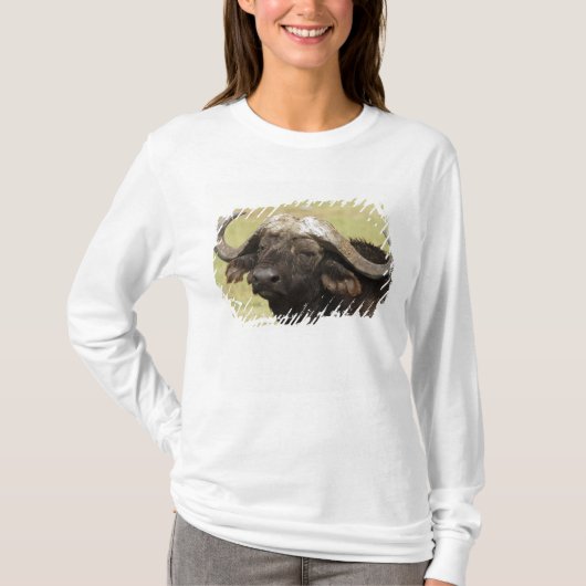 T-shirt Buffle d'Afrique, Syncerus caffer (Devant)