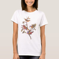 Buntings peints Audubon Famille de cinq oiseaux