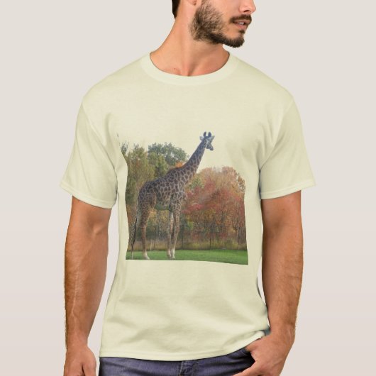 T-SHIRT CA6RUTYJ (Devant)