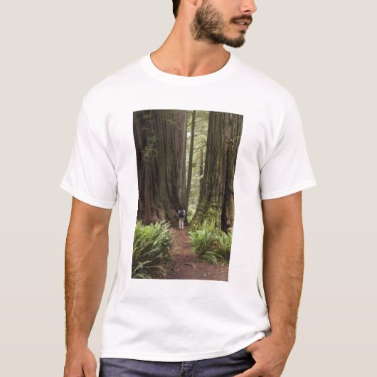 T-shirt CA, Jedediah Smith Redwoods State Park, (Devant)