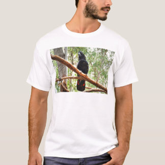 T-SHIRT CACATOÈS NOIR QUEENSLAND AUSTRALIE