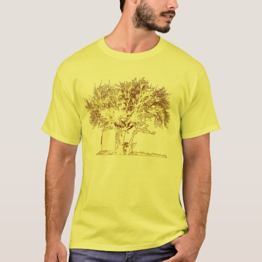 T-shirt cache-cache (Devant)