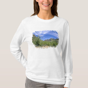 T-shirt Cactus du désert à Organ Pipe National Monument,