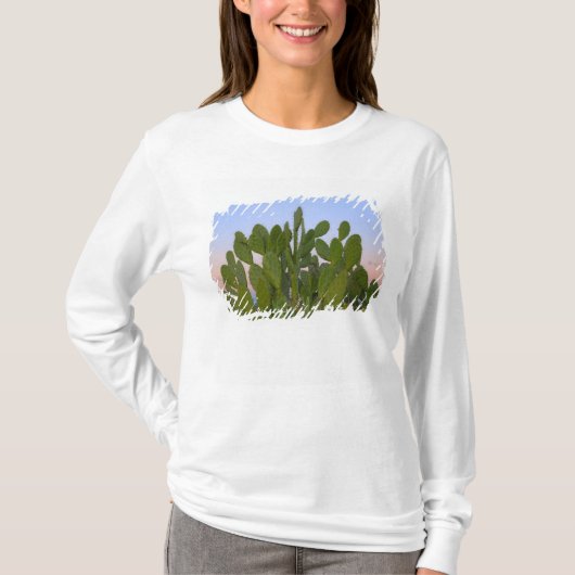 T-shirt Cactus et sisal dans la forêt sèche (Devant)