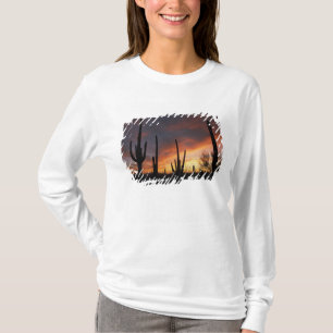 T-shirt cactus saguaro, Carnegiea gigantea, après