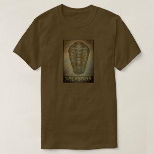 T-shirt Calymène sépia trilobite paléo-chic