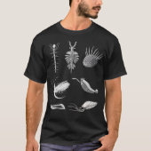 T-shirt Cambrian Creatures Fossil Paleoart Evolution Scien (Devant)