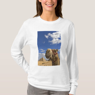 T-shirt Camel devant les pyramides de Gizeh, Egypte,