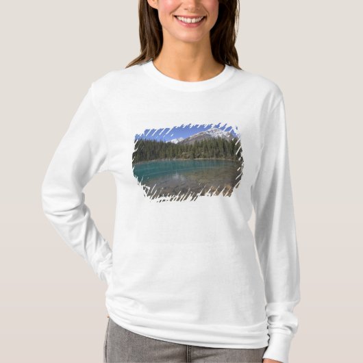 T-shirt Canada, Alberta, parc national de Jasper : JASPER, (Devant)