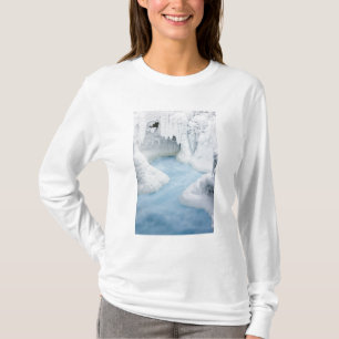 T-shirt Canada, Alberta, parc national de Jasper. La