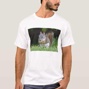 T-shirt Canada, Colombie-Britannique, Écureuil roux pin