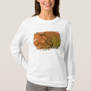 T-shirt CANADA, Colombie-Britannique, Victoria. Automne 2