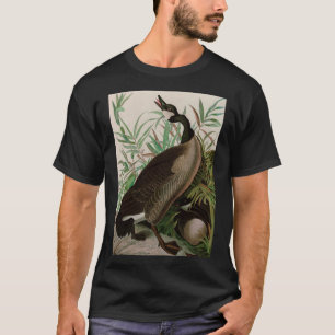 T-shirt Canada Goose Birds of America Audubon