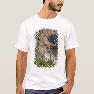 T-shirt Canada, Nouvelle-Écosse, île du Cap-Breton, Cabot 