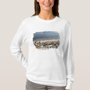 T-shirt Canada, Québec. Train de VIA Rail Canada Le