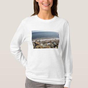 T-shirt Canada, Québec. Train de VIA Rail Canada Le