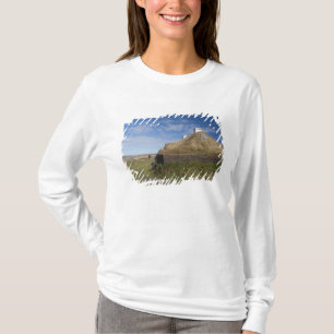 T-shirt Canada, Terre-Neuve-et-Labrador, L'Anse Aux 4