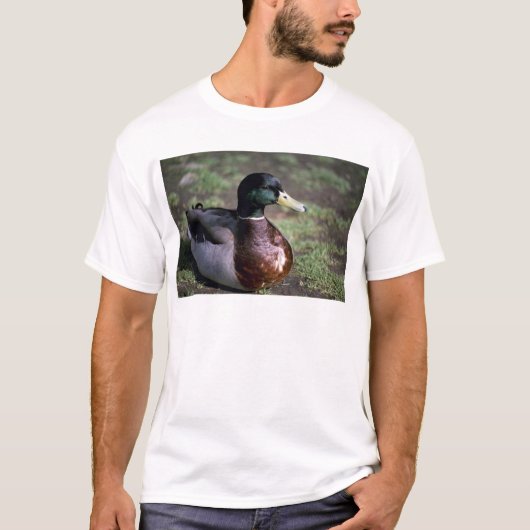 T-shirt Canard (Devant)