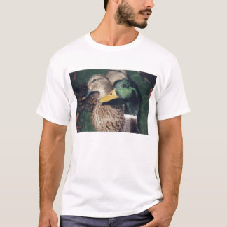 T-shirt canards