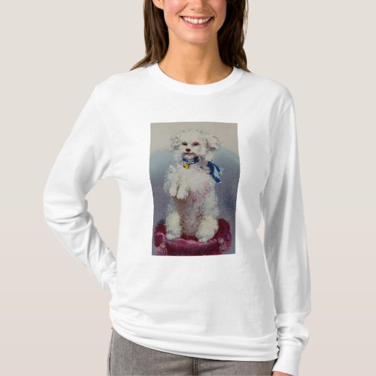 T-shirt Caniche avec le ruban bleu (Devant)