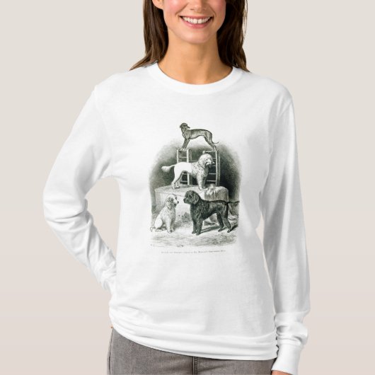 T-shirt Caniches et whippet - groupe de M. Walton's (Devant)