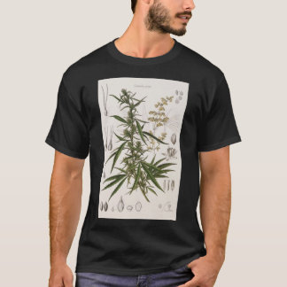 T-shirt Cannabis Sativa - Poster d'entrée botanique