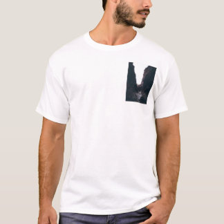 T-shirt canyon de fente