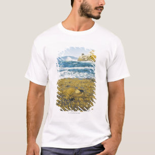 T-shirt Cap Kiwanda et l'océan pacifique