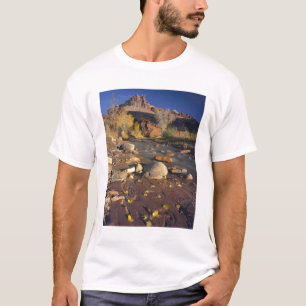 T-shirt CAPITOL REEF NATIONAL PARK, UT, US, Cottonwood