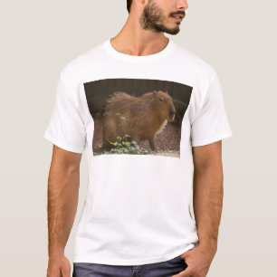 T-shirt Capybara