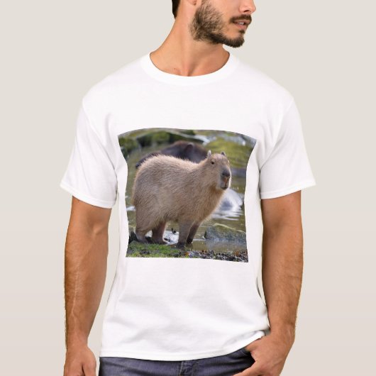 T-shirt Capybara au bord d'un étang (Devant)