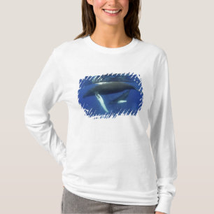 T-shirt Caraïbes, archipel des Grandes Antilles,
