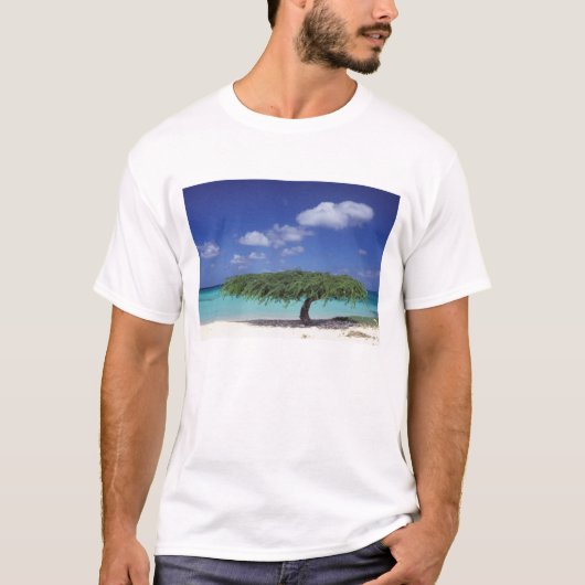 T-shirt Caraïbes, Aruba. Plage Eagle (Devant)