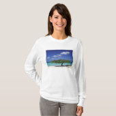 T-shirt Caraïbes, Aruba. Plage Eagle (Devant entier)