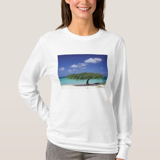 T-shirt Caraïbes, Aruba. Plage Eagle (Devant)