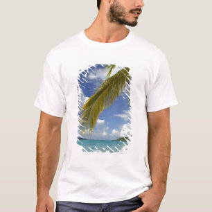 T-shirt Caraïbes, Îles Vierges américaines, St.Thomas,